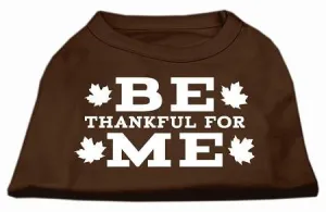 Be Thankful for Me Screen Print Shirt Brown Sm (10)