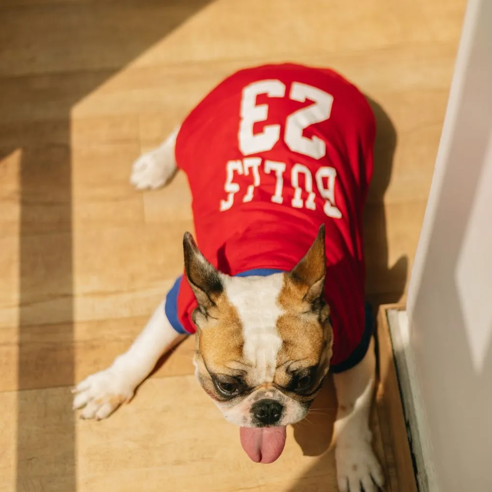 Bulls 23 Jersey Dog T-Shirt
