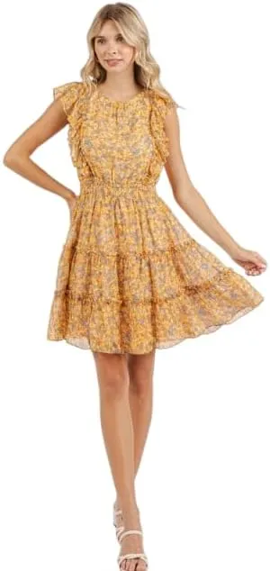 Ditsy Floral Print Ruffle Chiffon Mini Dress