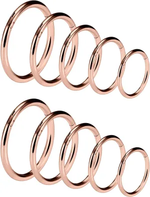 Vsnnsns 14G 16G Septum Nose Rings Hoops Lip Ring Piercing Jewelry 316L Surgical Steel Hinged Segment Clicker Cartilage Tragus Helix Conch Rook Daith Lobe Earrings Hoops Piercing Jewelry for Women Men